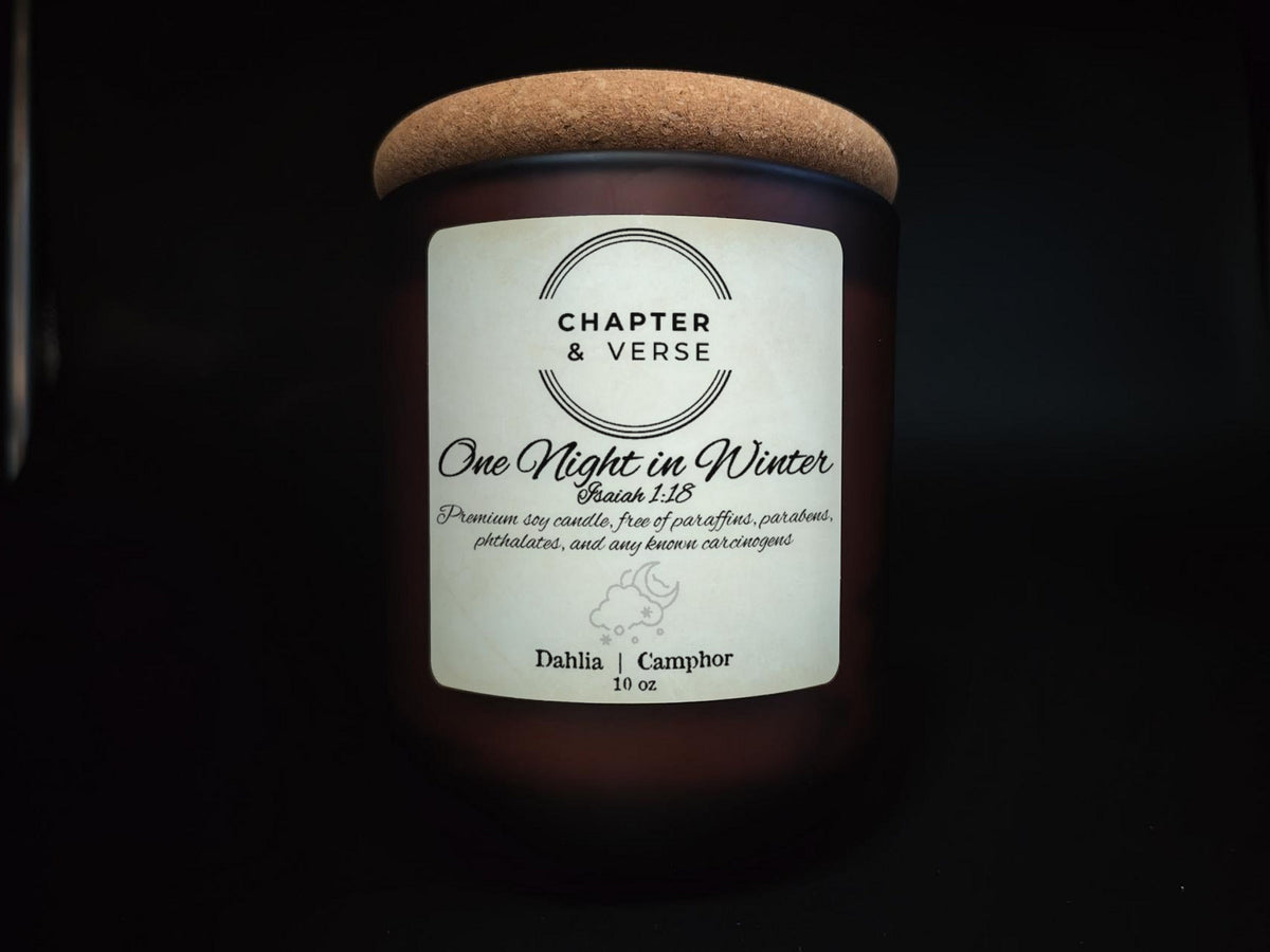 One Night in Winter 10 oz Premium Soy Candle